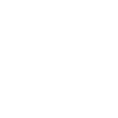bondix intelligence